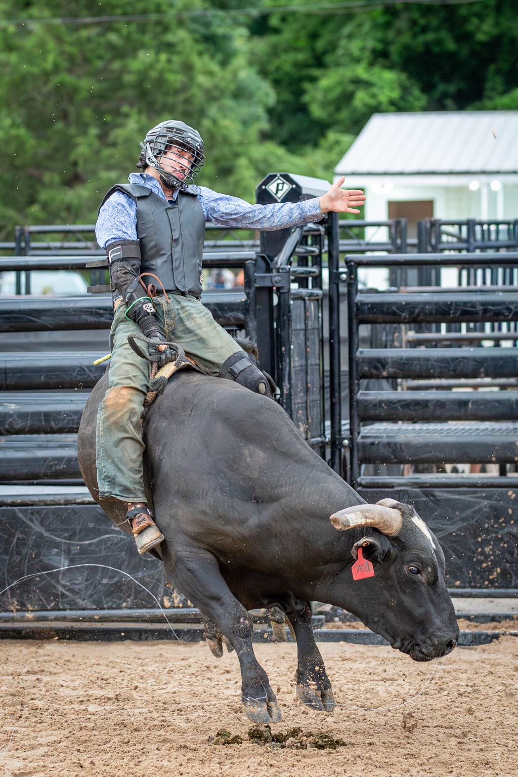 Bull rider competing in the Western Sports Extreme arena