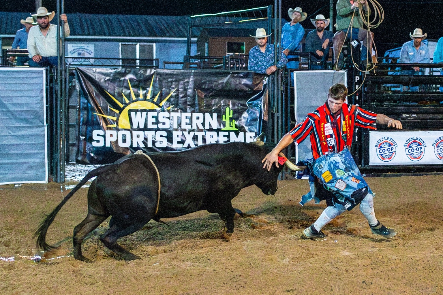 Freestyle bullfighter facing a bull in front of WSE and partner banners